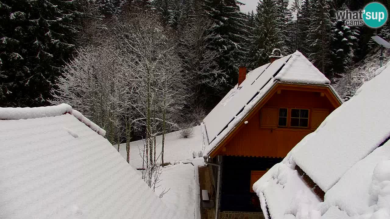 Web kamera Lukanja – Water Village | Pohorje Houses