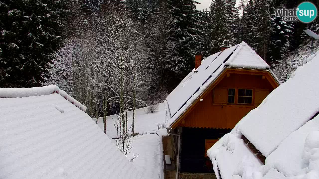 Webcam Lukanja – Pohorje houses a Water village