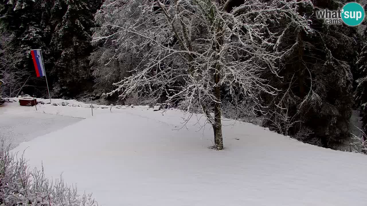 Webcam Lukanja – Water Village | Pohorje Houses