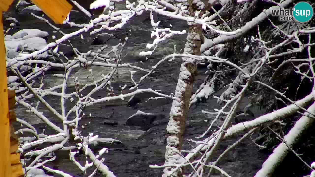 Webcam Lukanja – Pohorje houses a Water village