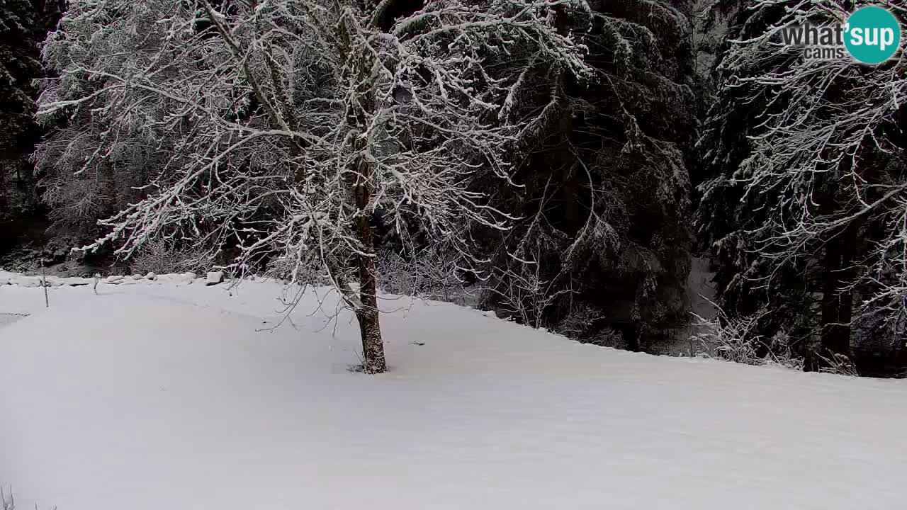 Webcam Lukanja – Water Village | Pohorje Houses