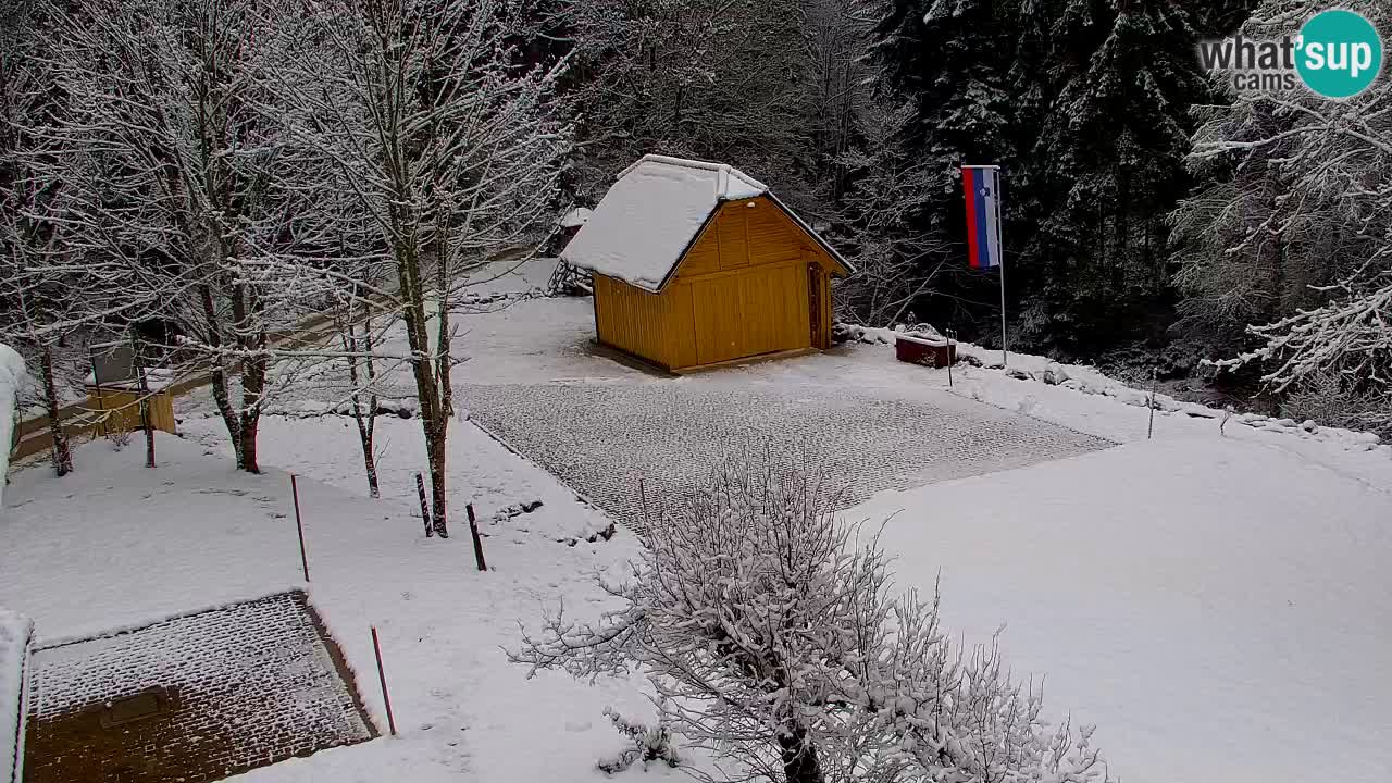 Web kamera Lukanja – Water Village | Pohorje Houses