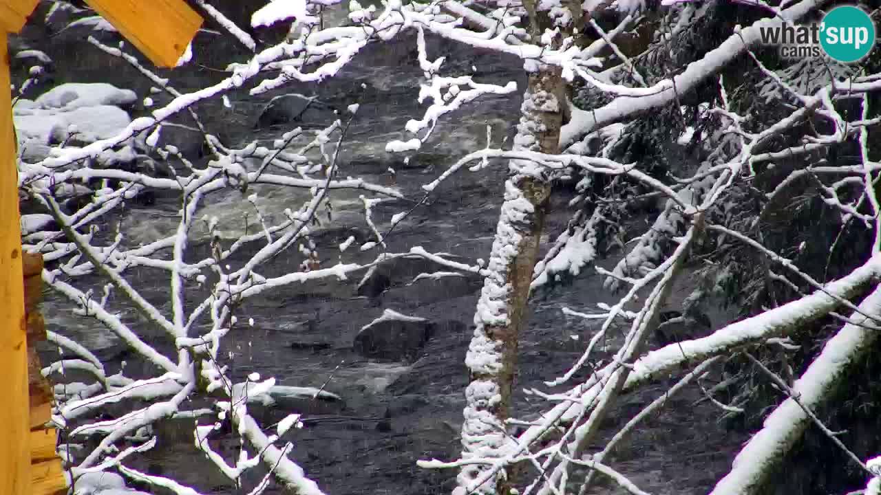 Webcam Lukanja – Water Village | Pohorje Houses