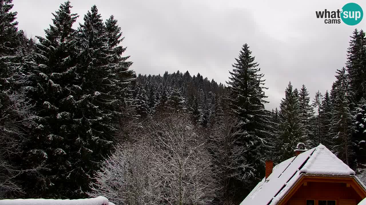 Spletna kamera Lukanja – Water Village | Pohorje Houses