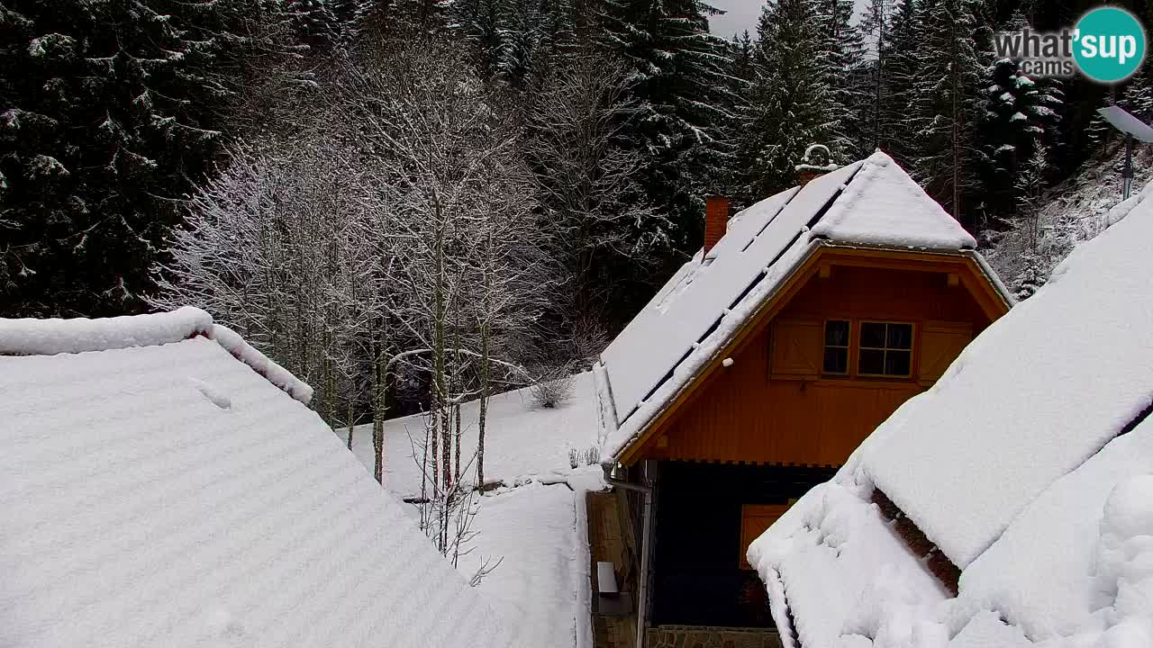 Webcam Lukanja – Pohorje houses a Water village