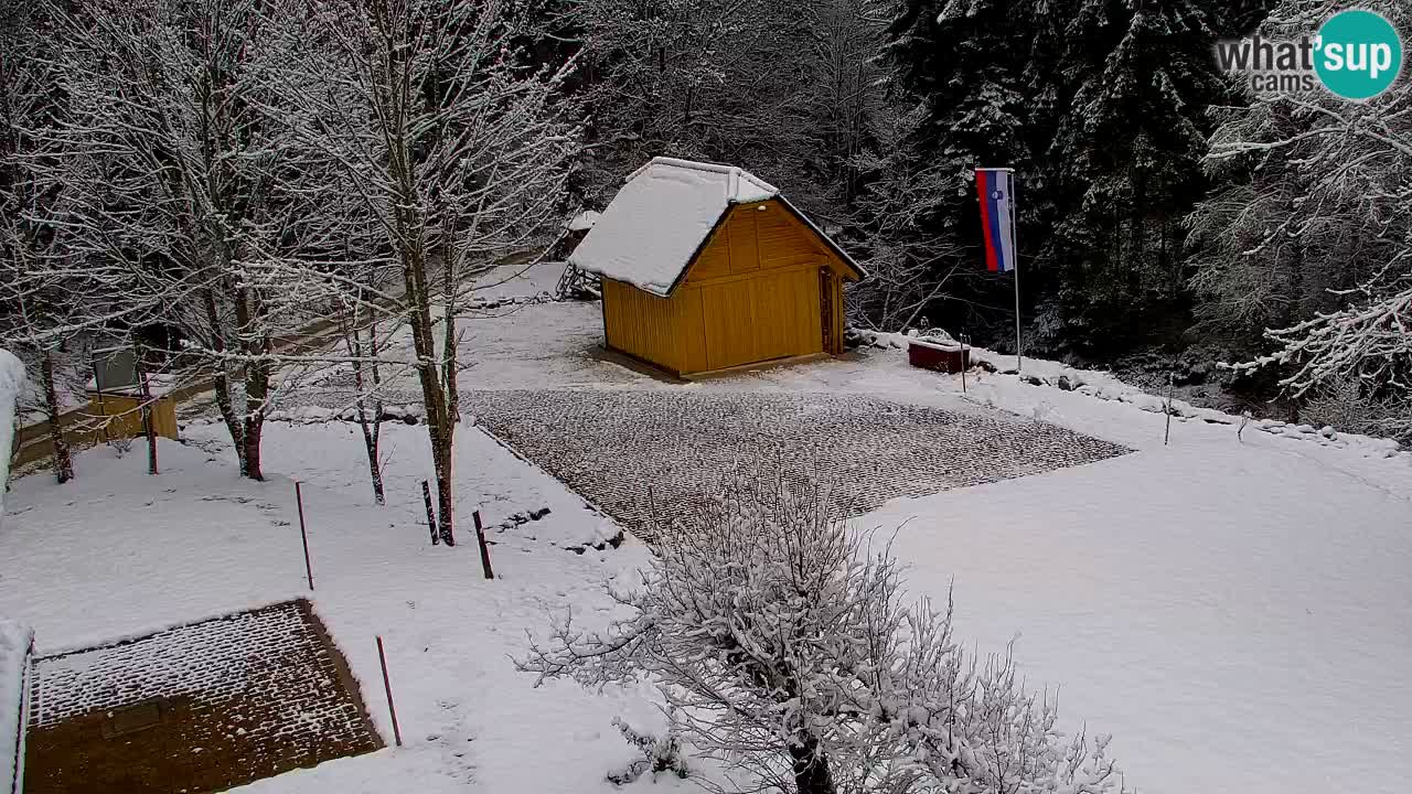 Web kamera Lukanja – Water Village | Pohorje Houses
