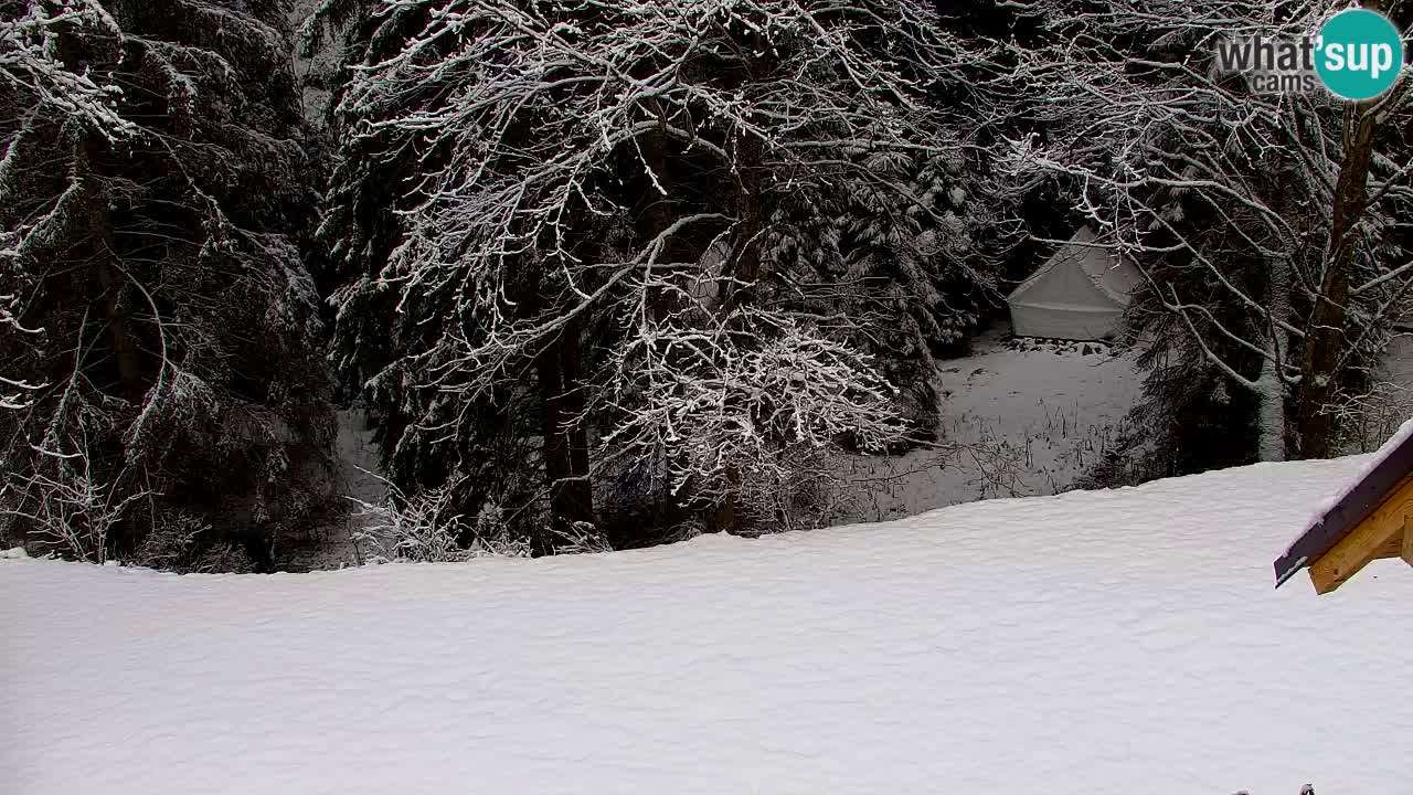 Webcam Lukanja – Water Village | Pohorje Houses