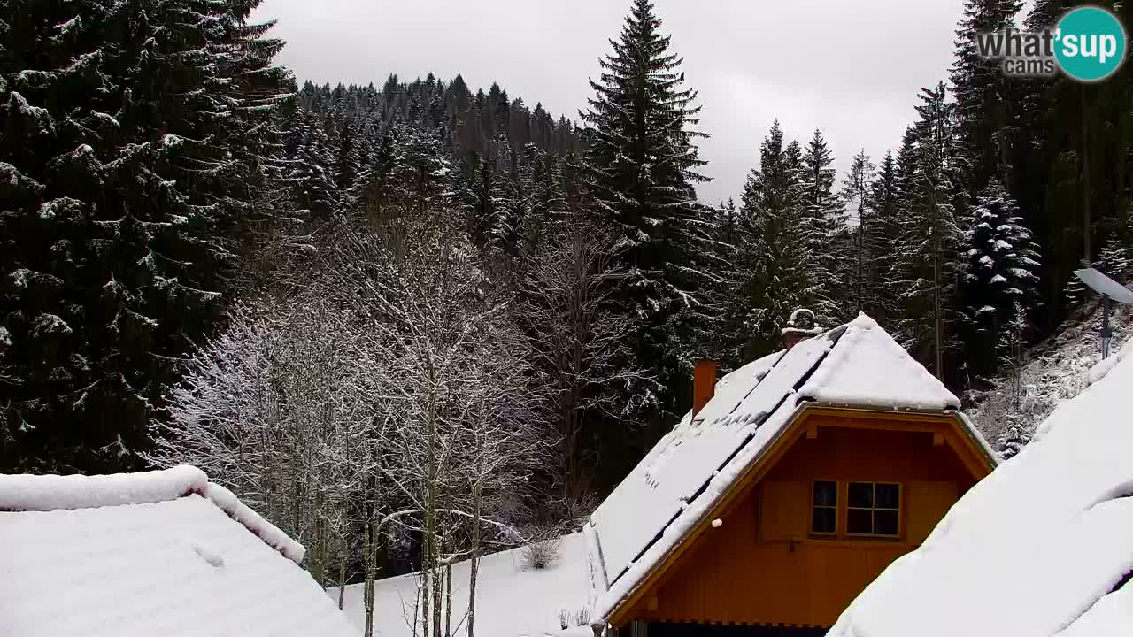 Webcam Lukanja – Water Village | Pohorje Houses