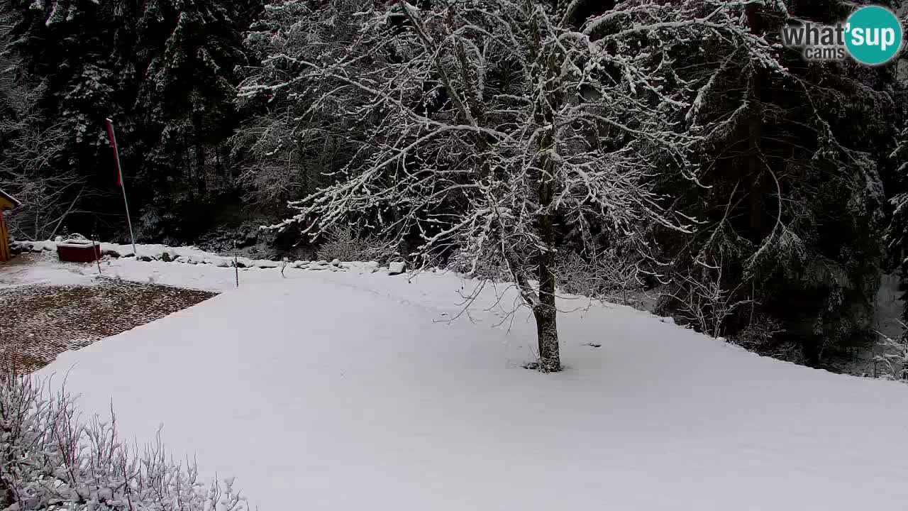 Web kamera Lukanja – Water Village | Pohorje Houses