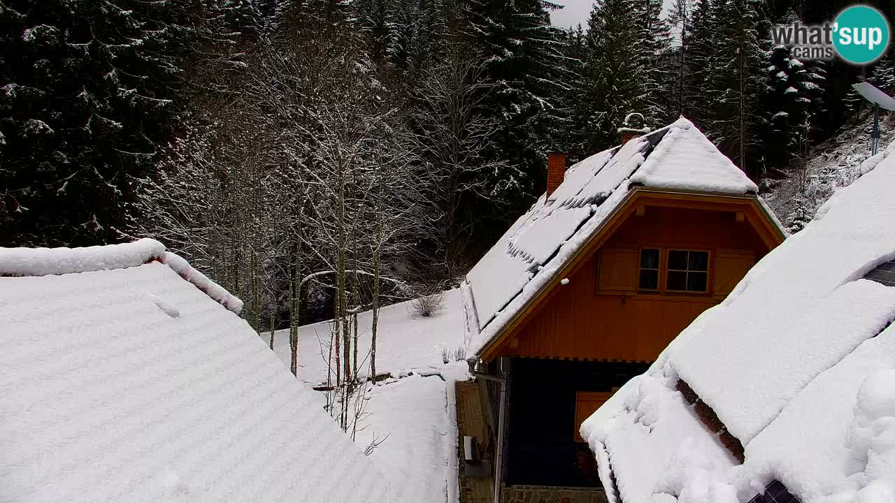 Webcam Lukanja – Water Village | Pohorje Houses