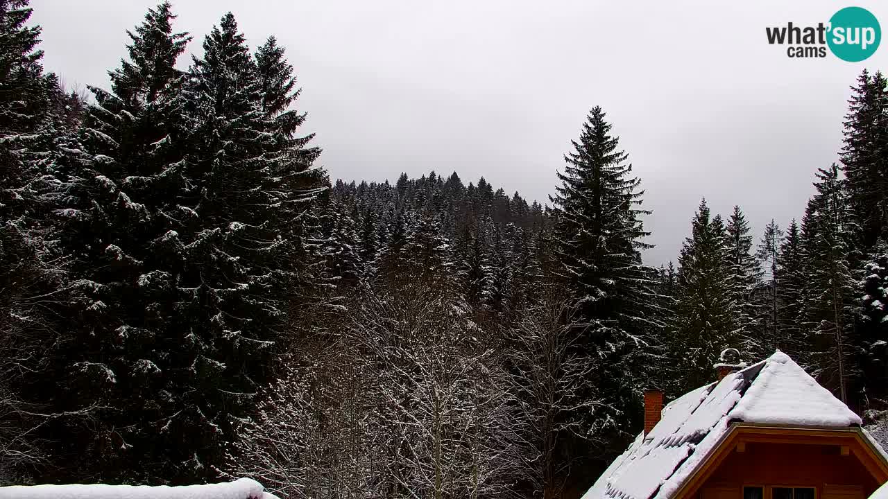 Webcam Lukanja – Water Village | Pohorje Houses