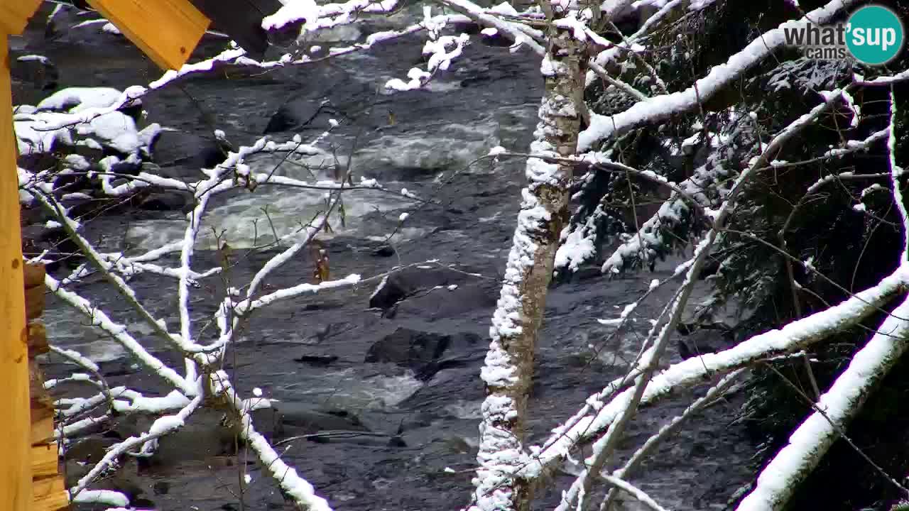 Webcam Lukanja – Water Village | Pohorje Houses