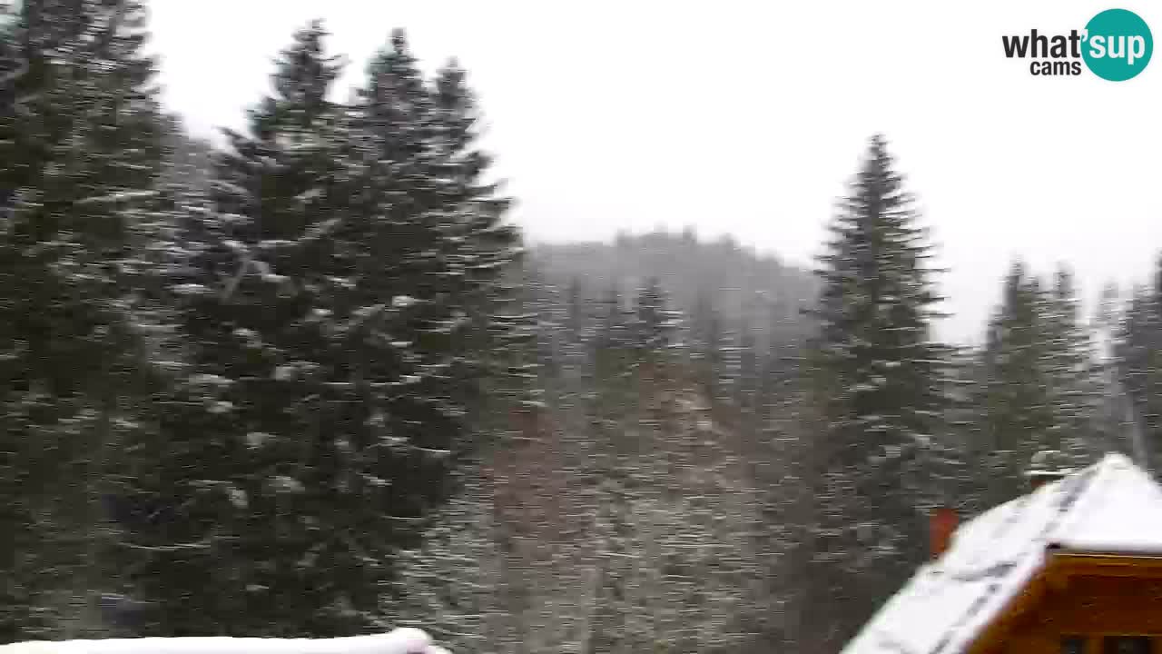 Webcam Lukanja – Pohorje houses a Water village