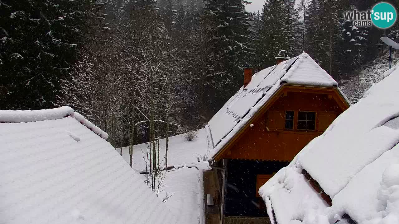 Spletna kamera Lukanja – Water Village | Pohorje Houses