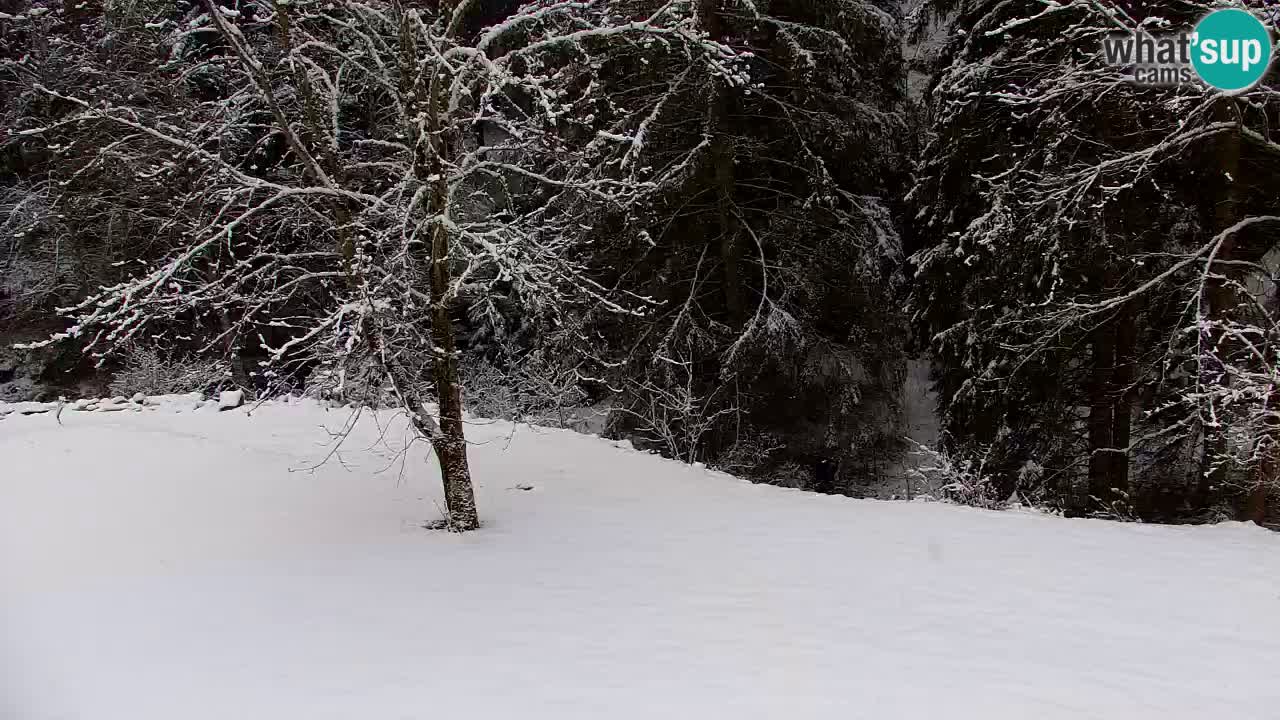 Webcam Lukanja – Pohorje houses a Water village