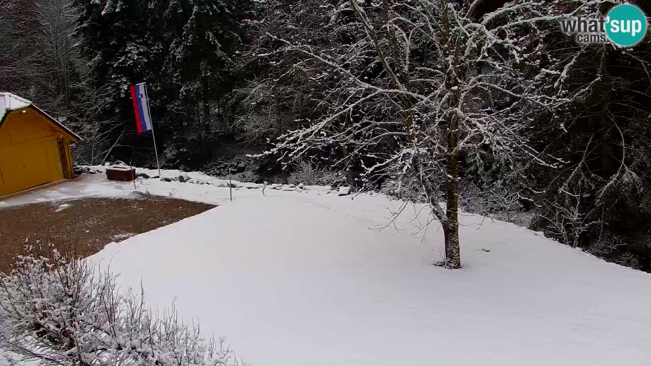 Webcam Lukanja – Water Village | Pohorje Houses