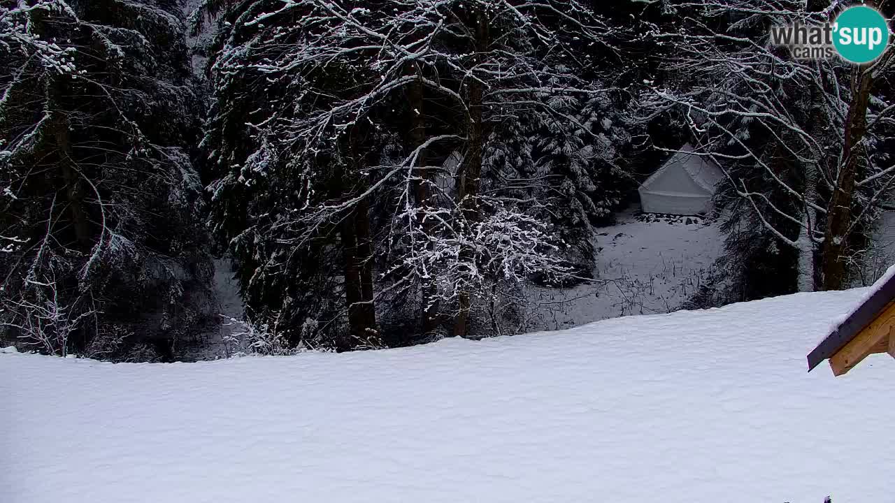 Webcam Lukanja – Pohorje houses a Water village
