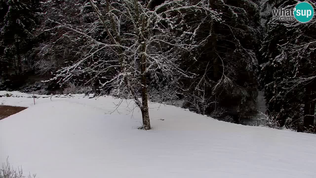 Webcam Lukanja – Water Village | Pohorje Houses