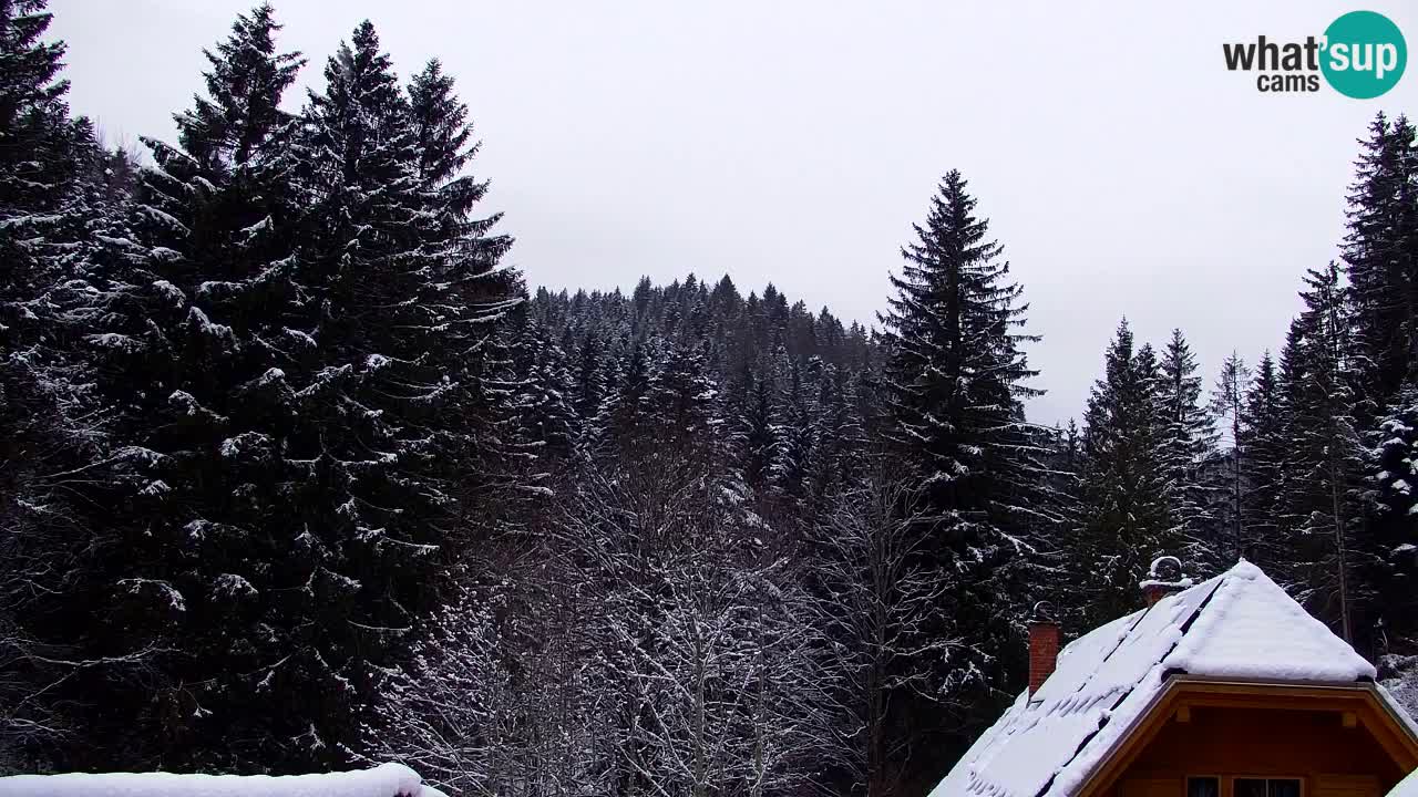 Webcam Lukanja – Pohorje houses a Water village