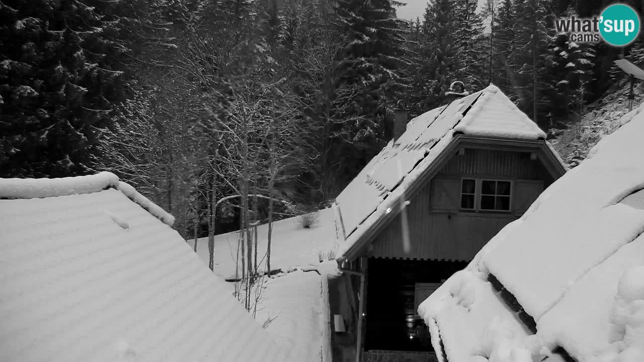 Webcam Lukanja – Pohorje houses a Water village