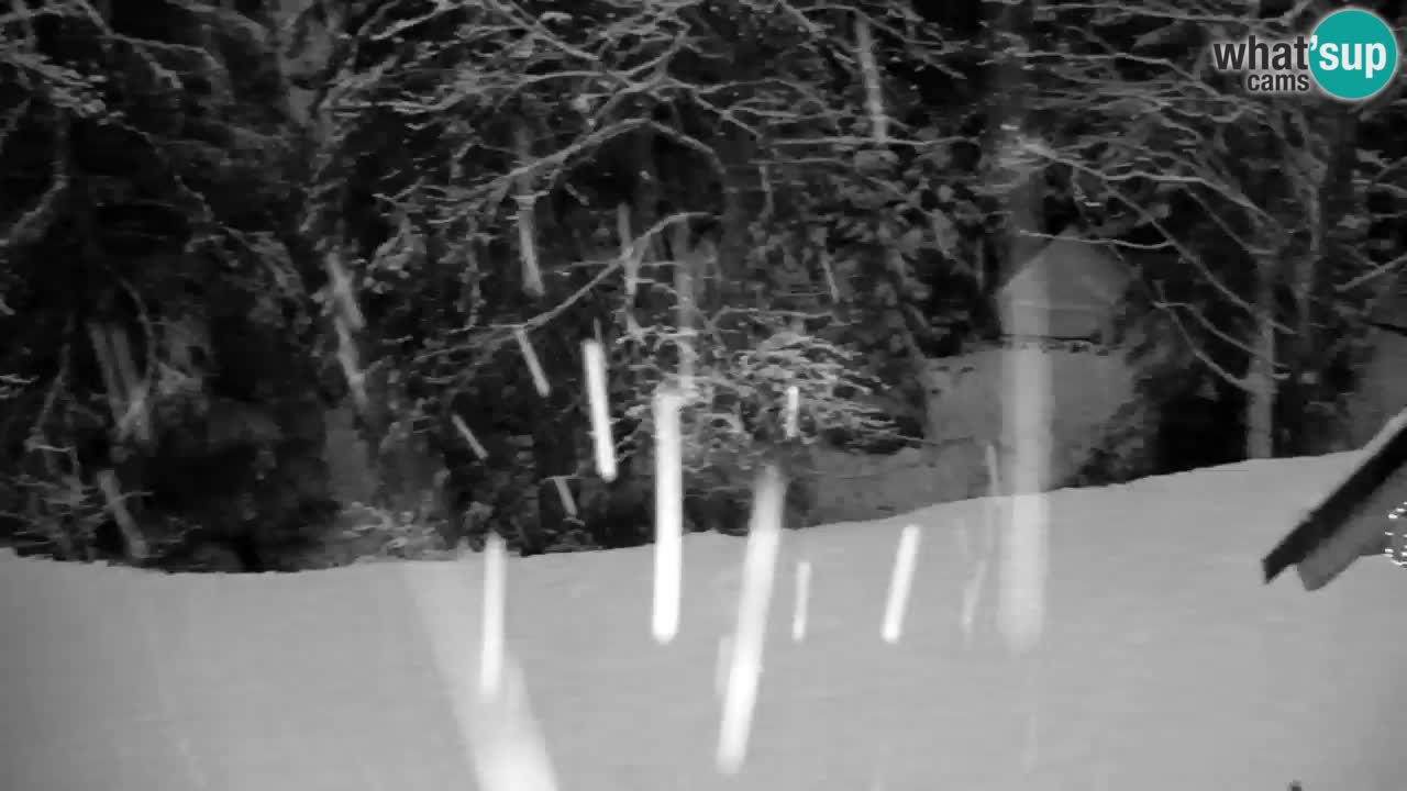 Webcam Lukanja – Pohorje houses a Water village