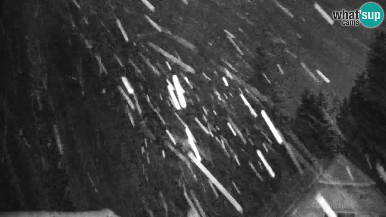 Webcam Lukanja – Pohorje houses a Water village