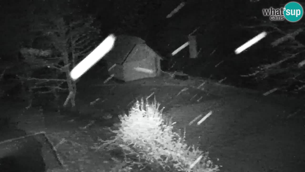 Webcam Lukanja – Pohorje houses a Water village