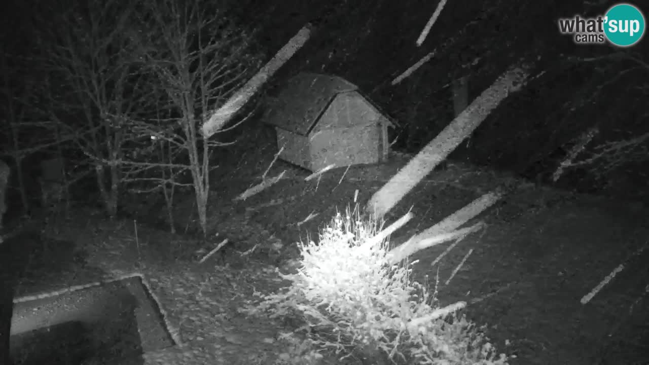 Web kamera Lukanja – Water Village | Pohorje Houses