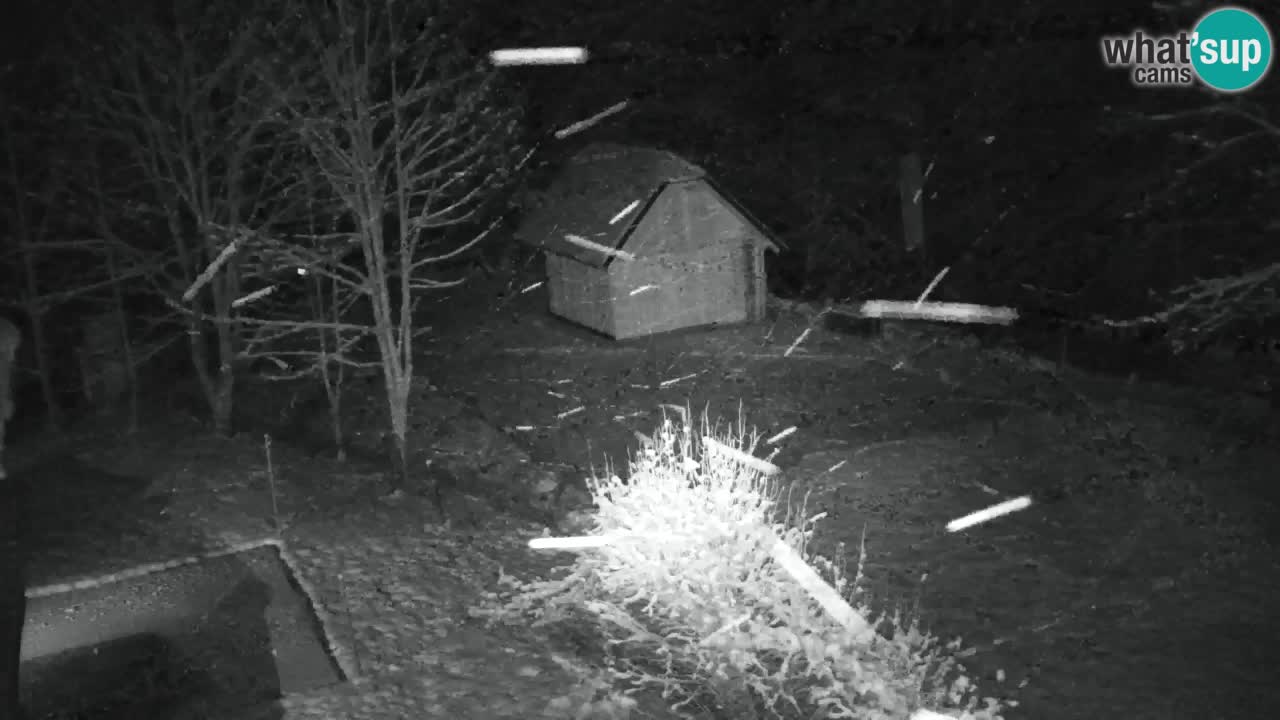 Webcam Lukanja – Pohorje houses a Water village