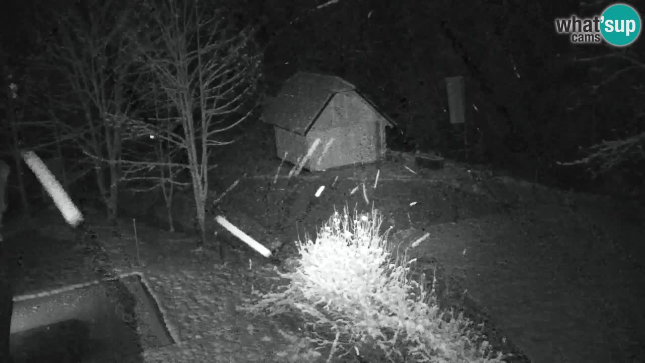 Webcam Lukanja – Pohorje houses a Water village