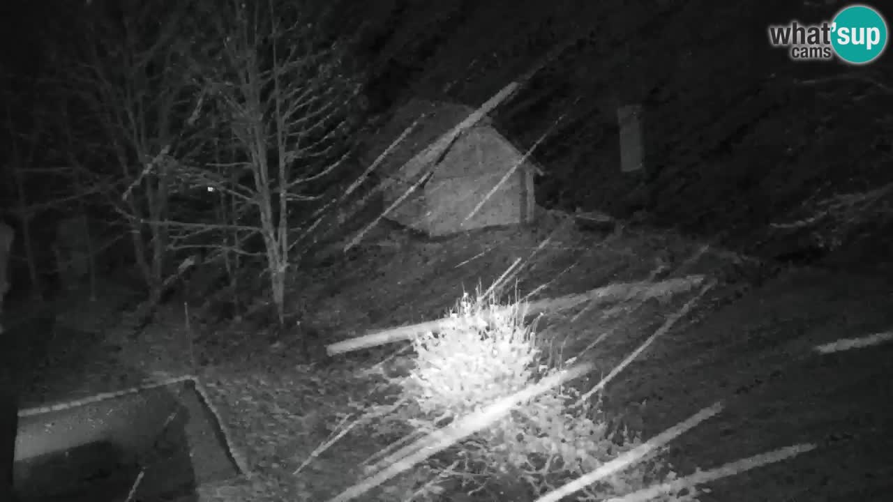 Spletna kamera Lukanja – Water Village | Pohorje Houses