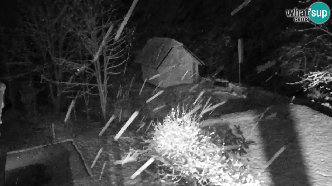 Spletna kamera Lukanja – Water Village | Pohorje Houses