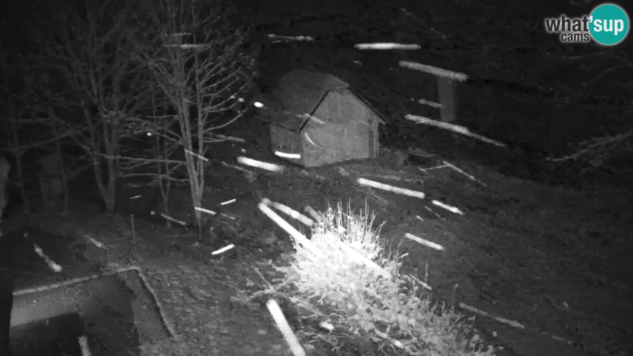 Webcam Lukanja – Water Village | Pohorje Houses