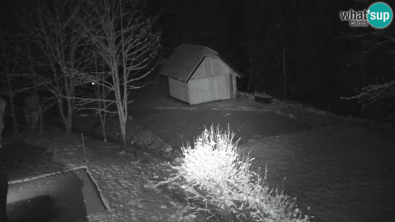 Webcam Lukanja – Pohorje houses a Water village