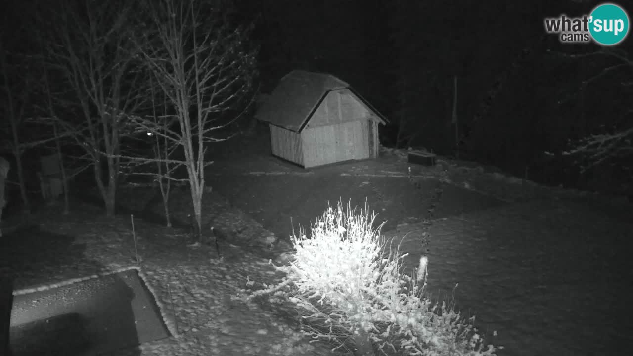 Webcam Lukanja – Pohorje houses a Water village