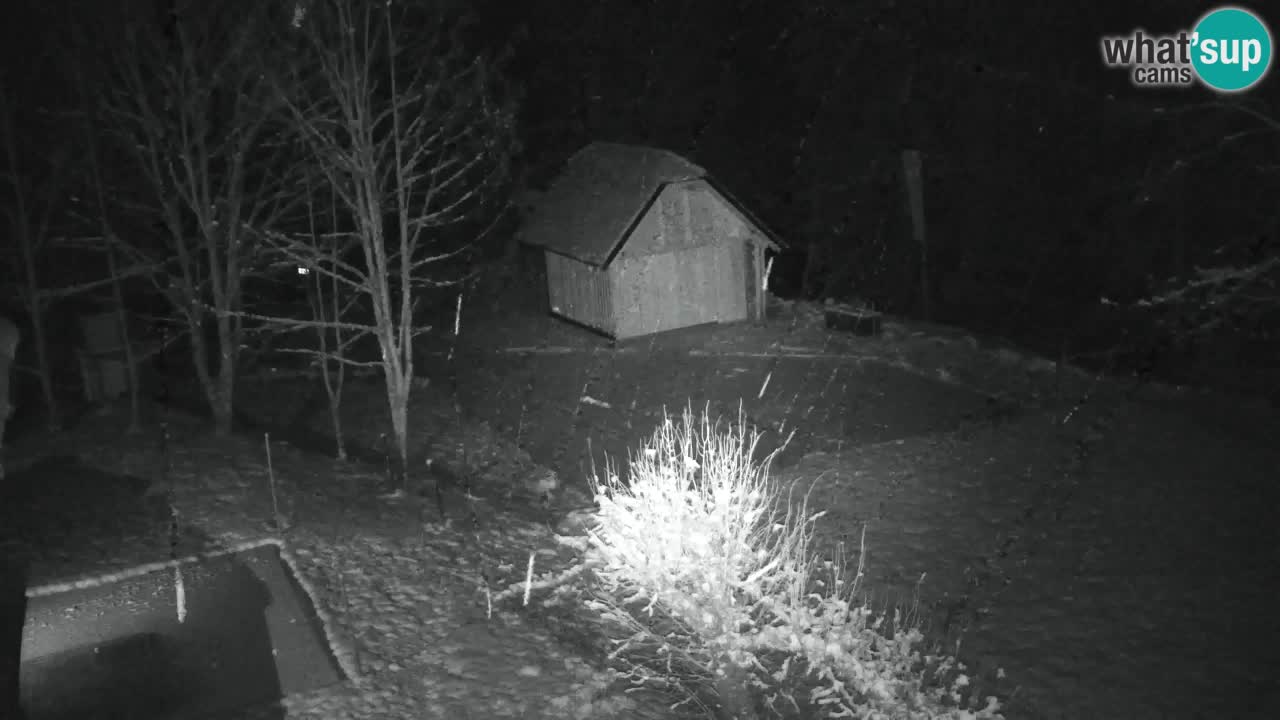 Webcam Lukanja – Pohorje houses a Water village