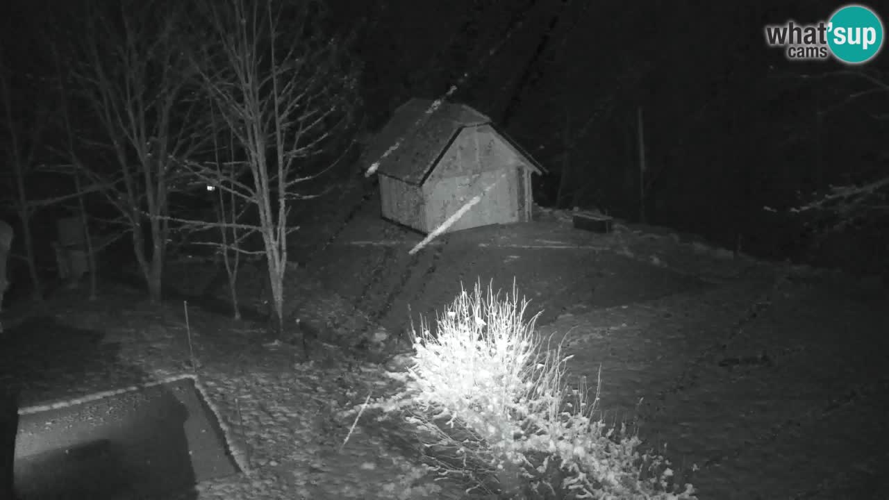 Webcam Lukanja – Water Village | Pohorje Houses