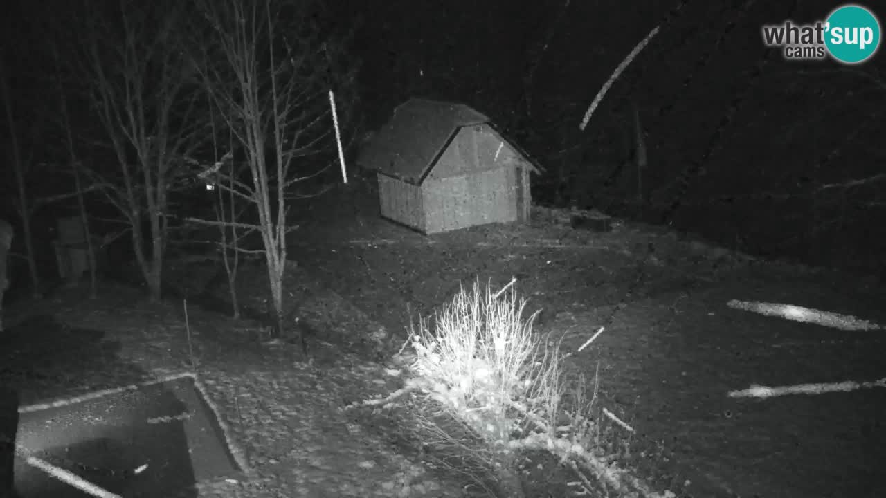 Webcam Lukanja – Water Village | Pohorje Houses