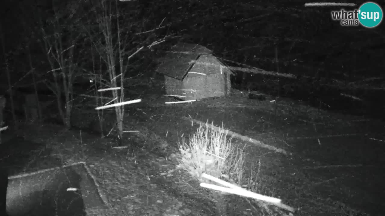 Webcam Lukanja – Water Village | Pohorje Houses