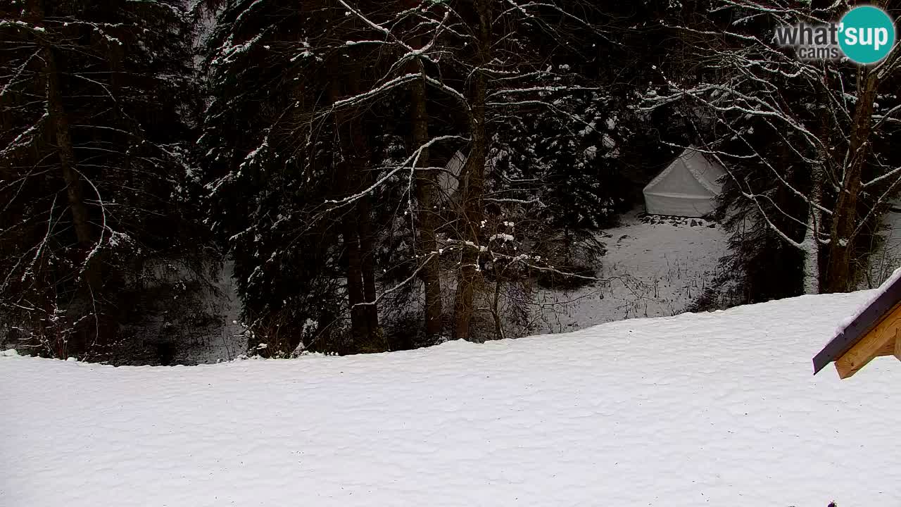 Webcam Lukanja – Water Village | Pohorje Houses