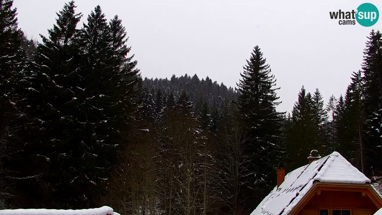 Web kamera Lukanja – Water Village | Pohorje Houses