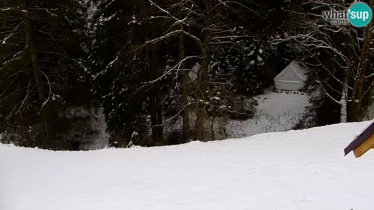 Webcam Lukanja – Water Village | Pohorje Houses