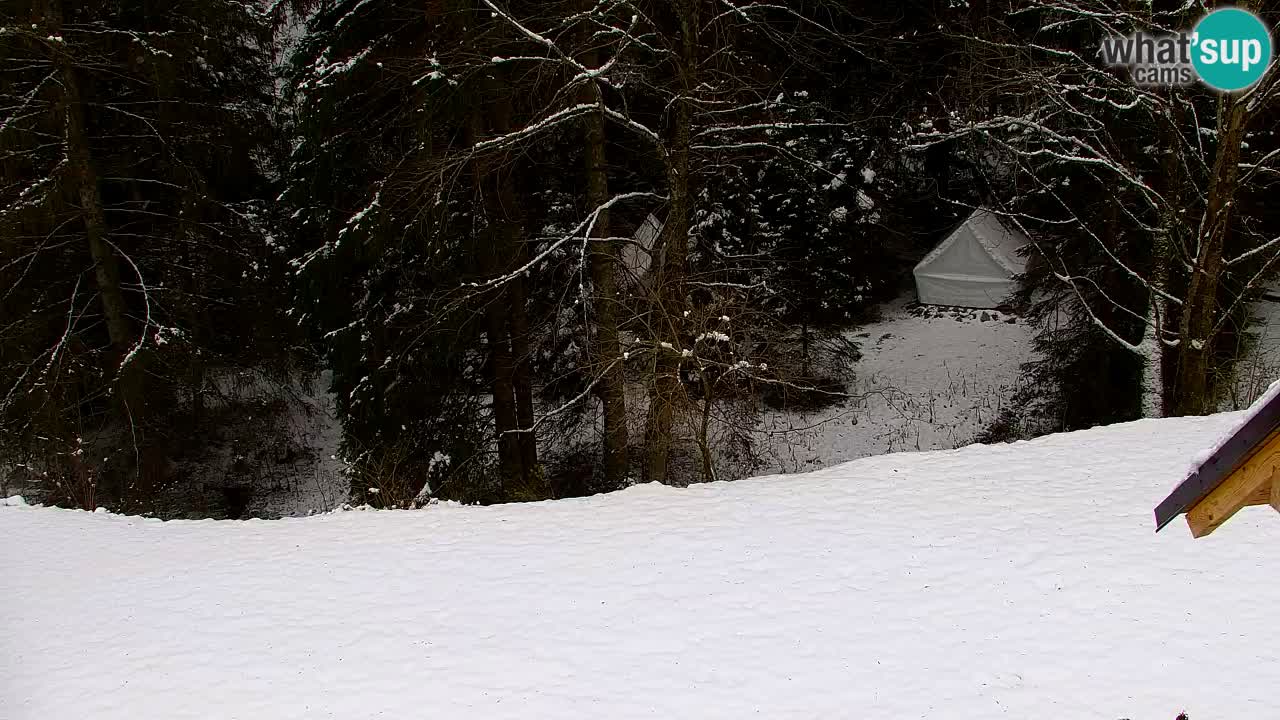 Webcam Lukanja – Pohorje houses a Water village
