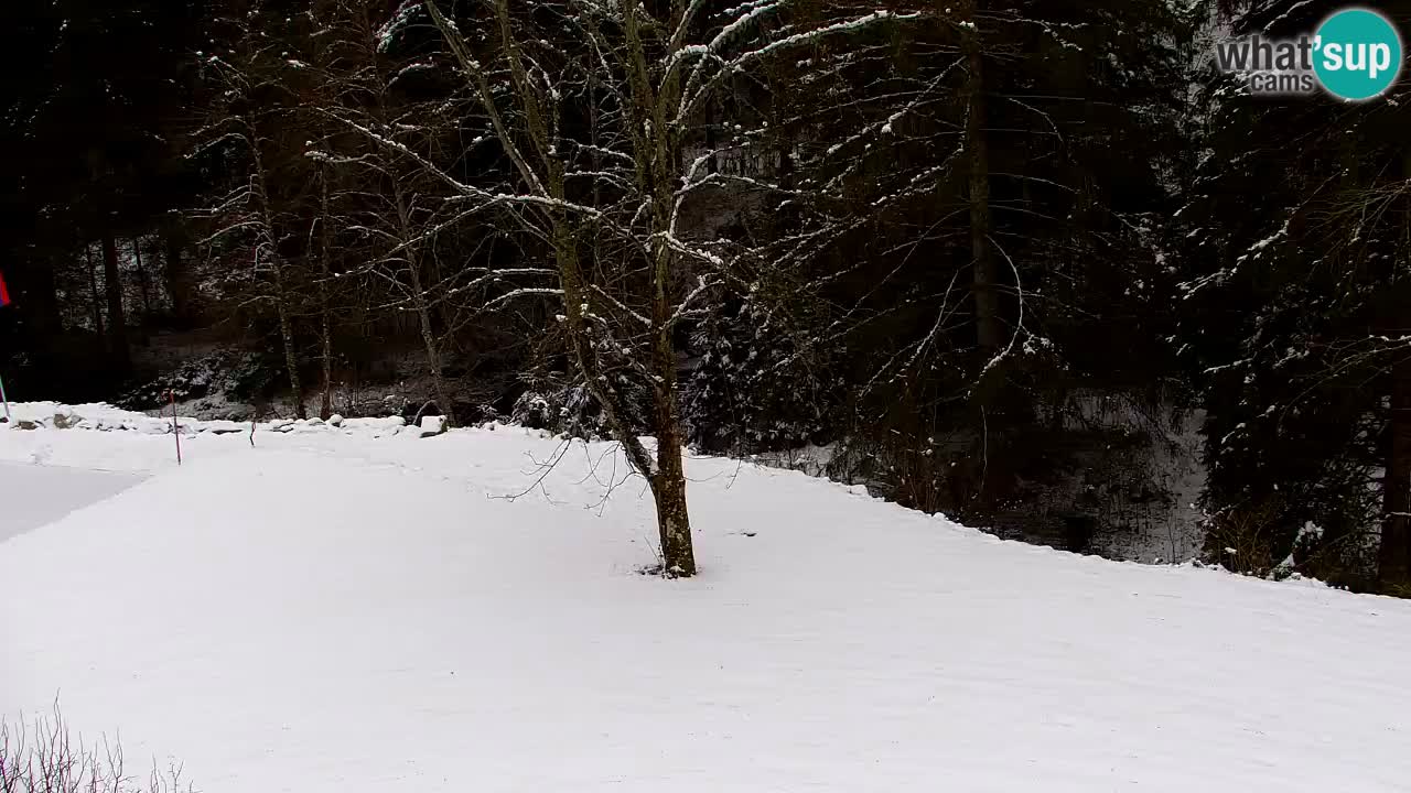 Webcam Lukanja – Water Village | Pohorje Houses