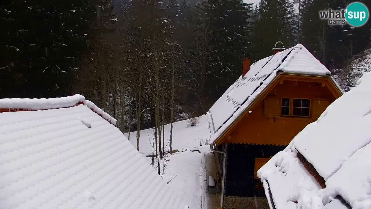 Webcam Lukanja – Pohorje houses a Water village