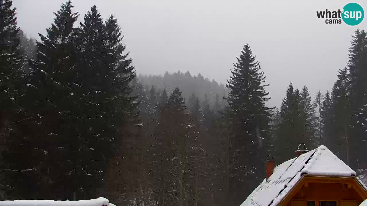 Spletna kamera Lukanja – Water Village | Pohorje Houses