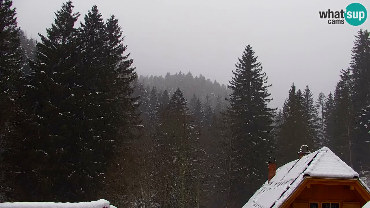 Webcam Lukanja – Pohorje houses a Water village