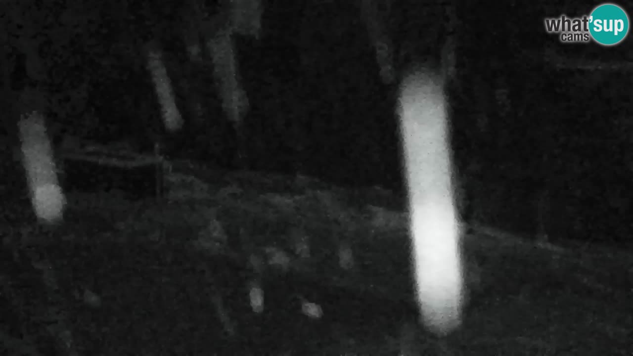 Webcam Lukanja – Water Village | Pohorje Houses