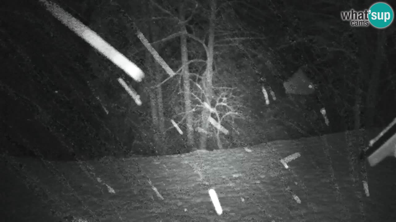 Webcam Lukanja – Water Village | Pohorje Houses