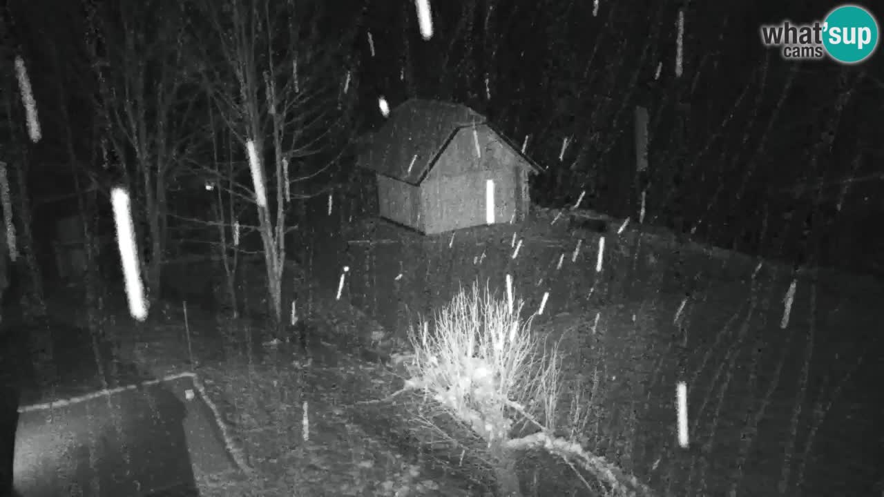 Webcam Lukanja – Water Village | Pohorje Houses